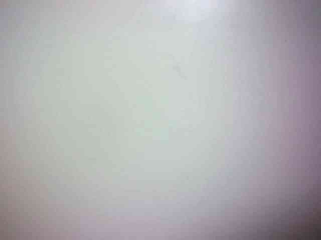 Avrilhunt webcam