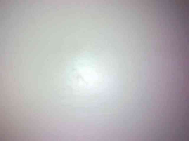 Avrilhunt webcam