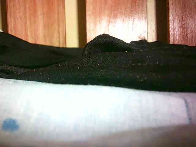 Avrilhunt Live Webcam on BongaCams