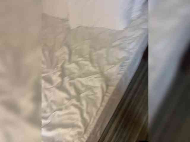 DenAnna77 webcam
