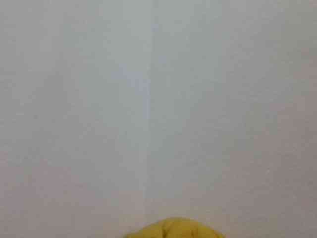 JELLA1 webcam