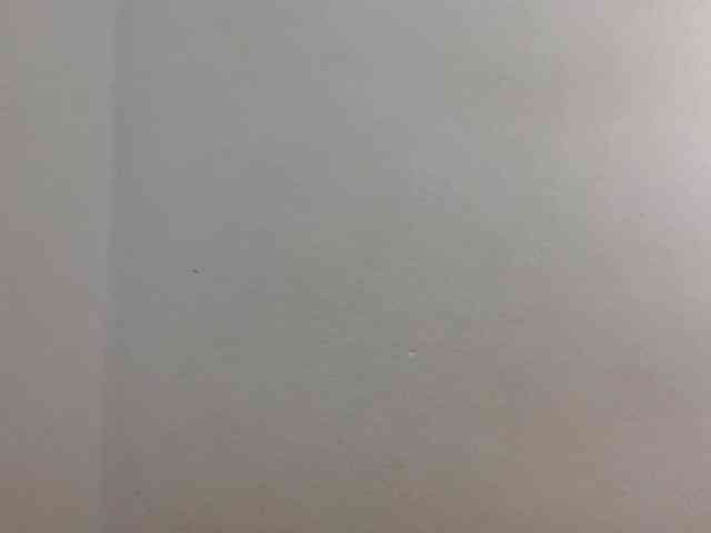 JELLA1 webcam
