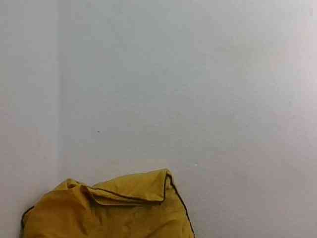 JELLA1 webcam