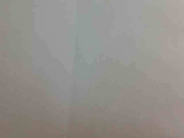 JELLA1 webcam