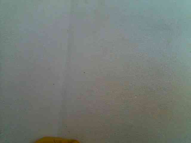 JELLA1 webcam