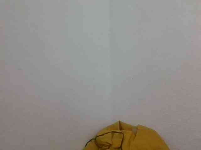 JELLA1 webcam