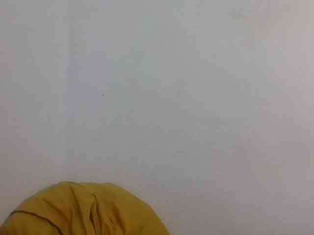 JELLA1 webcam