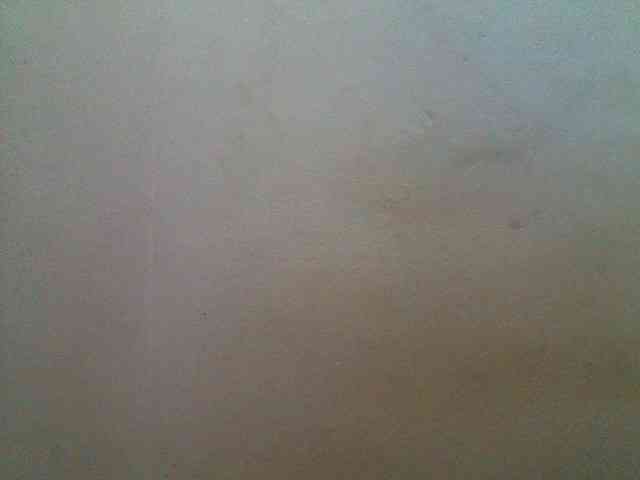 JELLA1 webcam