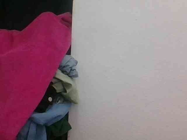 JELLA1 webcam
