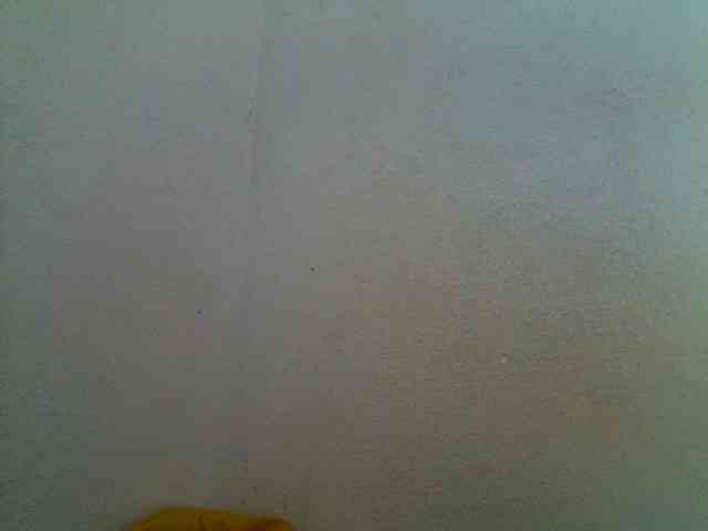 JELLA1 webcam