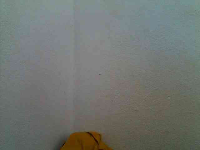 JELLA1 webcam