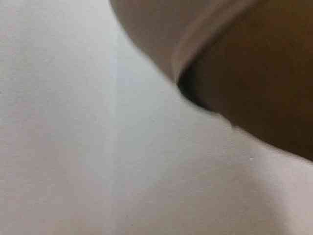 JELLA1 webcam
