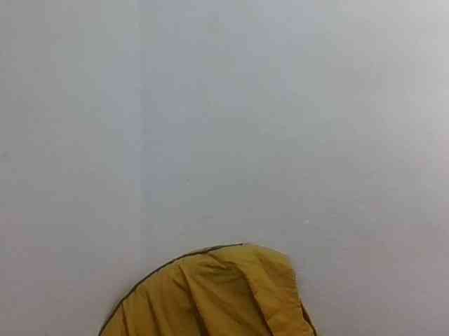 JELLA1 webcam