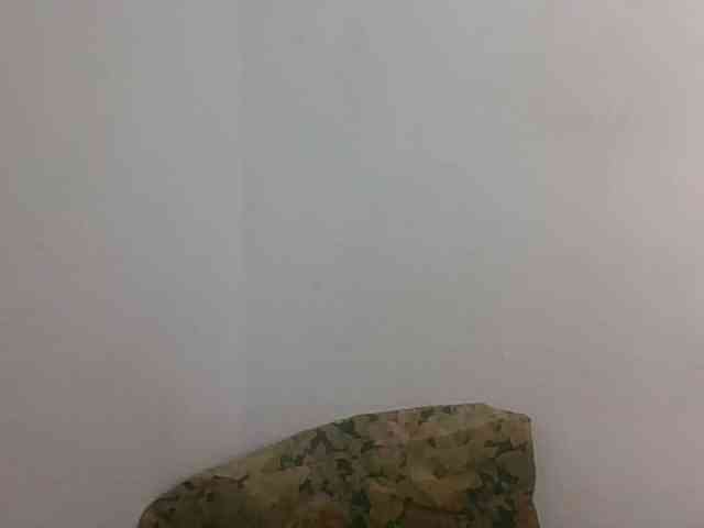 JELLA1 webcam