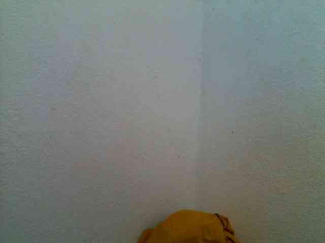 JELLA1 webcam