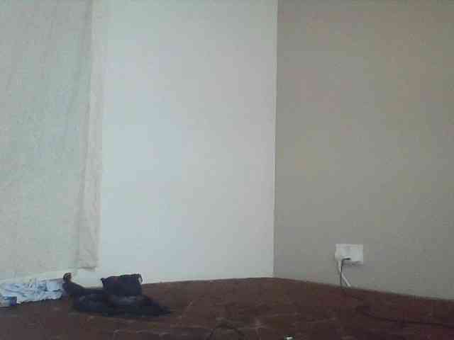 Mellaniee webcam