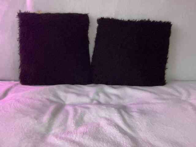 BestyBoobs BestyBoobs