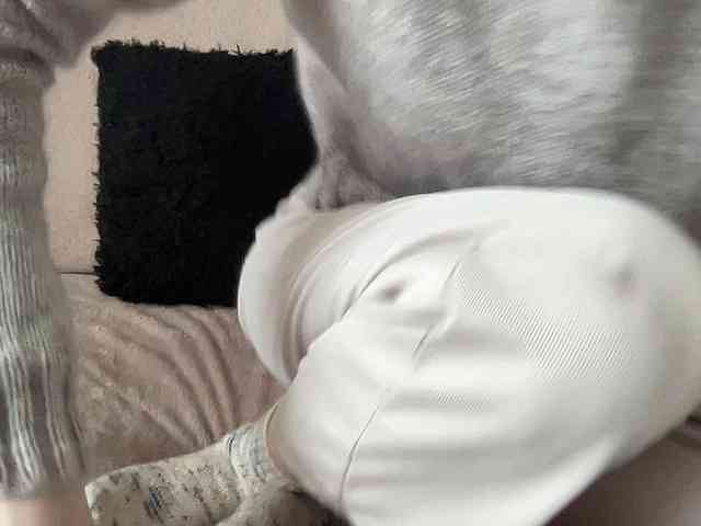 BestyBoobs BestyBoobs