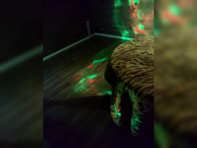 Love-for-two's BongaCams show and profile