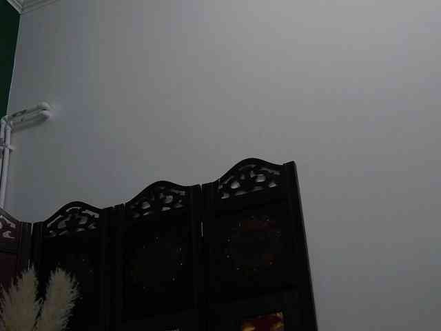 natashaivacenko webcam