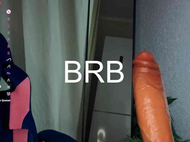 MiSeki webcam