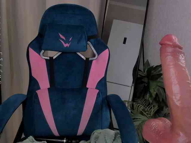MiSeki webcam
