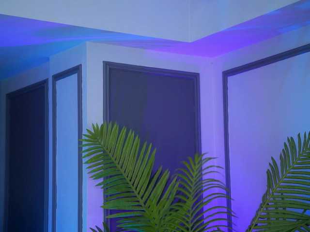 Preview of zenyanoir