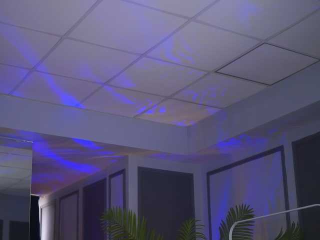 ZenyaNoir from BongaCams is Freechat