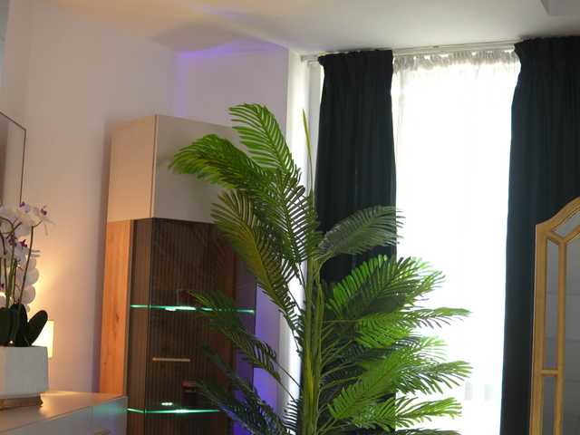 ZenyaNoir's BongaCams show and profile