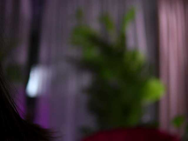 Preview of zenyanoir