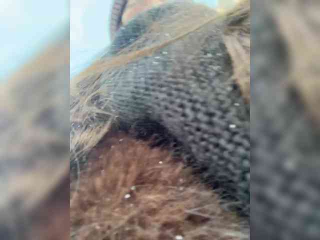 -Sasha-Orlova- webcam