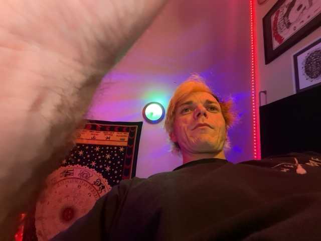 Kittsoftpawz – webcam model profile photo