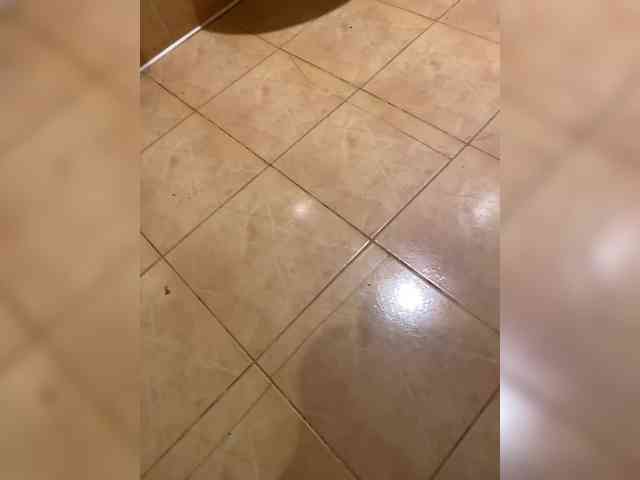 Sissyboypass Sissyboypass