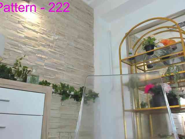 boobzilla webcam