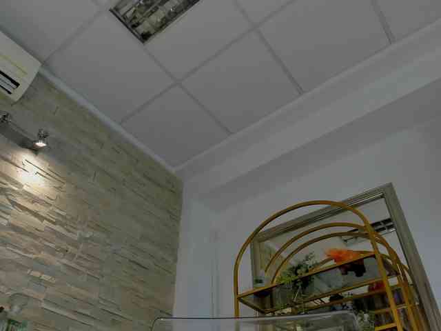 boobzilla webcam