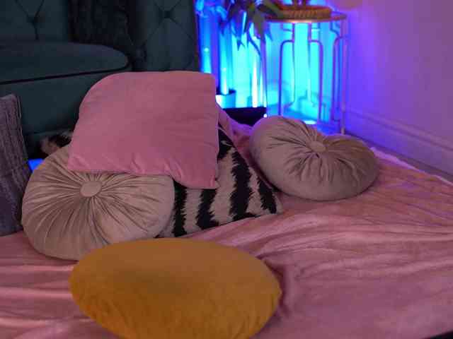 AlenaCapricious AlenaCapricious