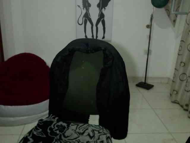 vivian-milf-paint webcam