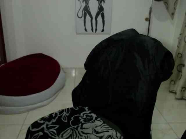 vivian-milf-paint webcam