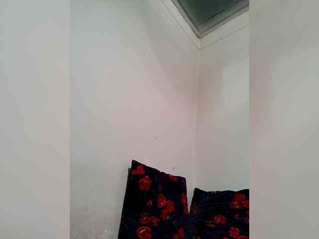 MinnaLinda webcam