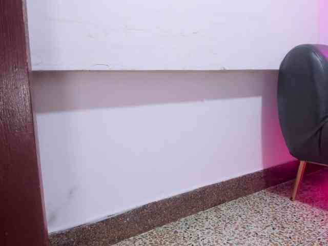 Valentina-tiny webcam