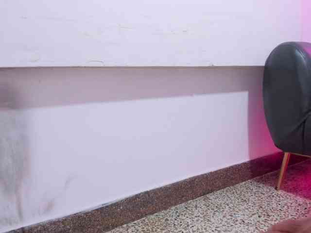 Valentina-tiny webcam