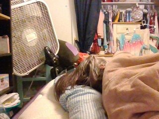 starlight1983 Porn Show