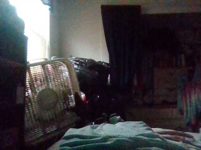 starlight1983's BongaCams show and profile