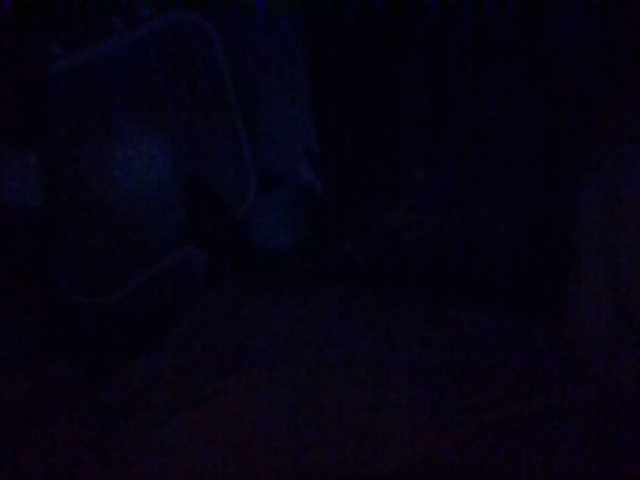 starlight1983 webcam