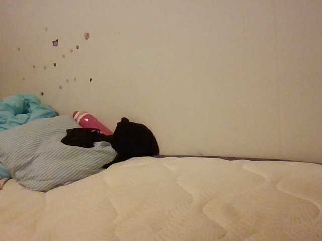 Preview of starlight1983