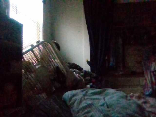 starlight1983's BongaCams show and profile