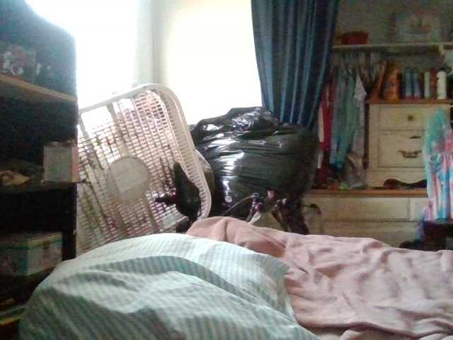 starlight1983's BongaCams show and profile