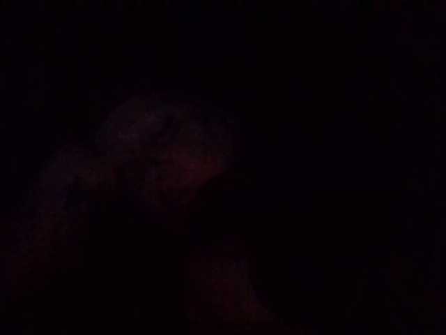 starlight1983's BongaCams show and profile