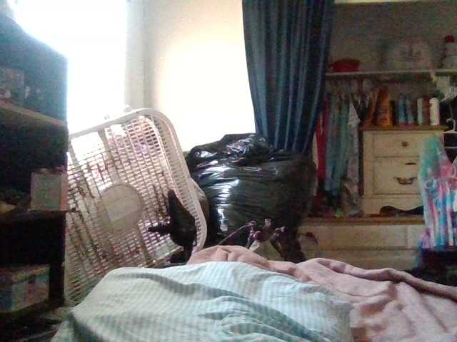 starlight1983's BongaCams show and profile