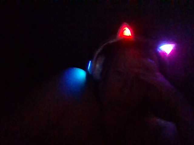 starlight1983's BongaCams show and profile